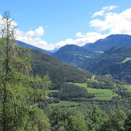 Bio Kraeuterhof Oberpalwitter Apartment Barbiano  Bagian luar foto